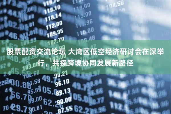 股票配资交流论坛 大湾区低空经济研讨会在深举行，共探跨境协同发展新路径