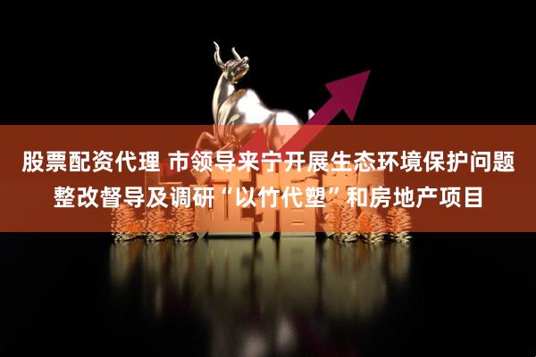 股票配资代理 市领导来宁开展生态环境保护问题整改督导及调研“以竹代塑”和房地产项目