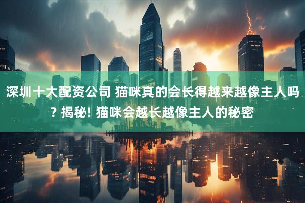 深圳十大配资公司 猫咪真的会长得越来越像主人吗? 揭秘! 猫咪会越长越像主人的秘密